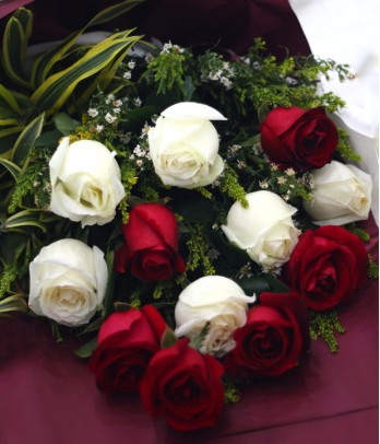 1 Dozen of Imported Red and White Roses