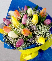 16 pcs. of Rainbow Mixed Tulips