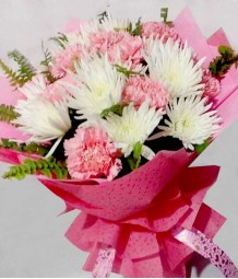 Captivating Carnations