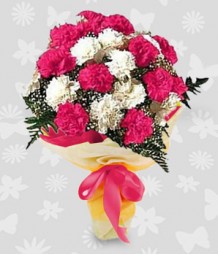 1 Dozen Pink and White Carnations